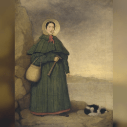 Mary Anning image