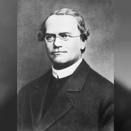 Gregor Mendel image