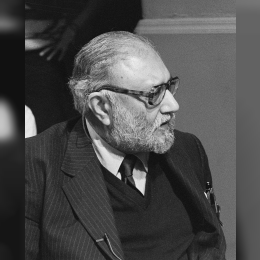 Abdus Salam image