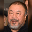 Ai Weiwei Reviews | RateItAll