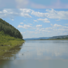 Amur River image