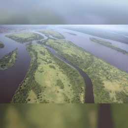 Congo River image