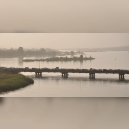 Niger River image