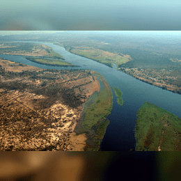 Zambezi River image