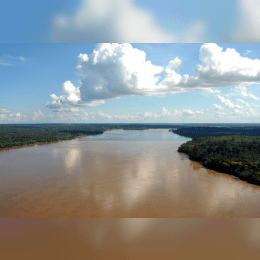 Madeira River image