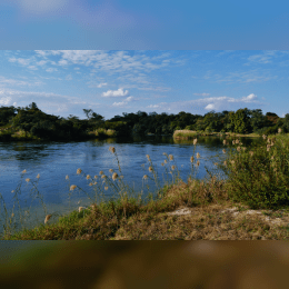 Okavango  image