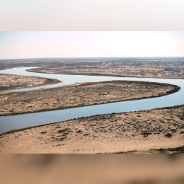 Warburton–Georgina image