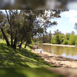 Lachlan River image