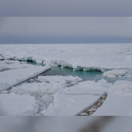 Ross Sea image