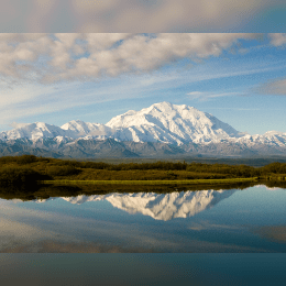 Denali  image