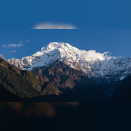 Annapurna Dakshin image