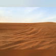 Arabian Desert Reviews | RateItAll