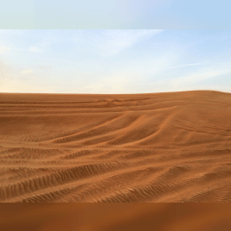 Arabian Desert image