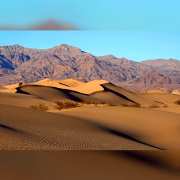 Mojave Desert image