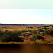 Great Victoria Desert Reviews | RateItAll