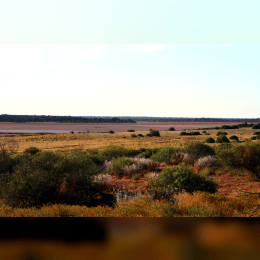 Great Victoria Desert image