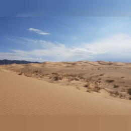 Gobi Desert image