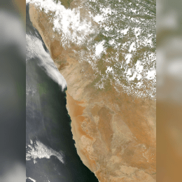 Namib Desert image