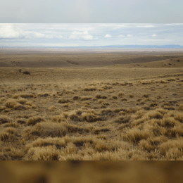 Patagonian Desert image