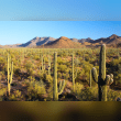 Sonoran Desert Reviews | RateItAll