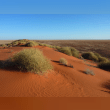 Simpson Desert Reviews | RateItAll