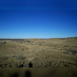 Gibson Desert image