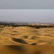 Thar Desert Reviews | RateItAll