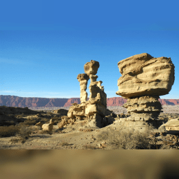 Monte Desert image