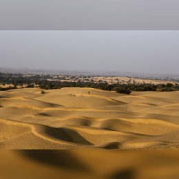 Great Indian Desert image