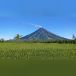 Mayon Reviews | RateItAll