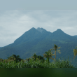 Mount Makiling Reviews | RateItAll