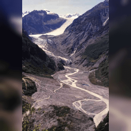 Fox Glacier image