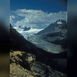 Peyto Glacier Reviews | RateItAll