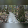 Congaree National Park Reviews | RateItAll