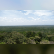 Kakamega Forest Reviews | RateItAll