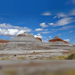 Petrified Forest National Park image