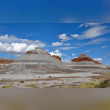 Petrified Forest National Park Reviews | RateItAll