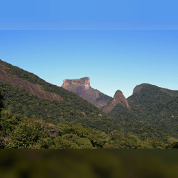 Tijuca Forest image