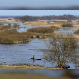 Biebrza National Park image