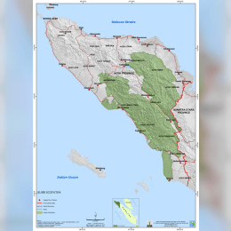 Leuser Ecosystem image