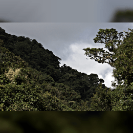 La Tigra National Park image