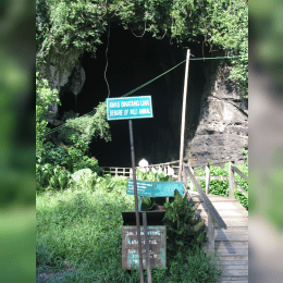 Gomantong Caves image