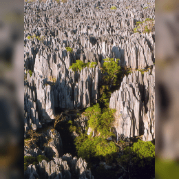 Tsingy de Bemaraha National Park image