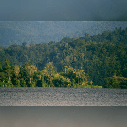 Lore Lindu National Park image