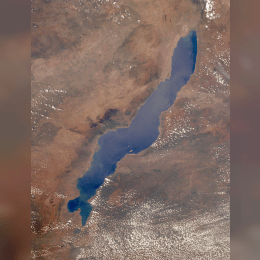 Lake Malawi image