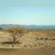 Lake Turkana Reviews | RateItAll