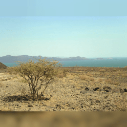 Lake Turkana image