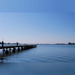 Lake Palic image