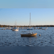 Lake Calhoun Reviews | RateItAll