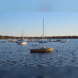 Lake Calhoun image